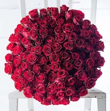 50 rosas rojas para regalar